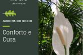 Jardins do Rocio