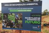 Paraná mais verde - placa de identificação