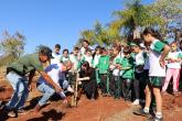 Prefeito Carlos Gil plantando muda de Gurucaia.