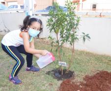 Dia do Meio Ambiente