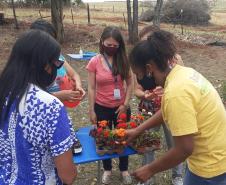 Projeto Cultivar