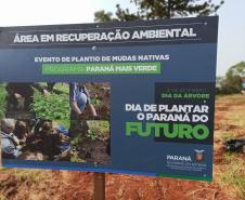 Paraná mais verde - placa de identificação