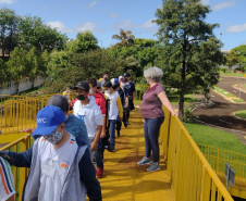 Educação no Trânsito