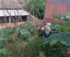 Mutirão de Limpeza - Dengue