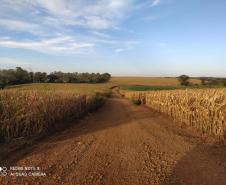 Adequação de Estrada Rural