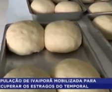 Pães sendo confeccinados