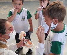 Saúde Bucal no Programa Saúde na Escola