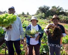 Da esquerda para direita, seo Aldevandro dos Santos, Zilda Moreira e Idalina Marcelino, todos possuem canteiros na horta comunitária do Conjunto Guaiapó – Foto: Cary Bertazzoni/PMM