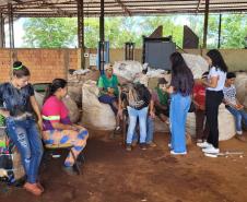 cooperativa de reciclagem 