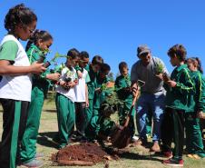 educação e meio ambiente