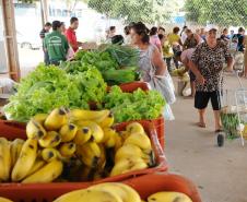 ALIMENTOS