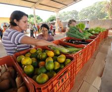 ALIMENTOS