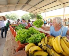 ALIMENTOS