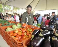 ALIMENTOS