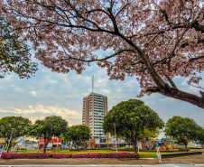 PRAÇA MIGUEL ROSSAFA