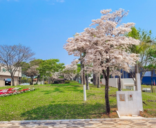 PRAÇA PORTUGAL