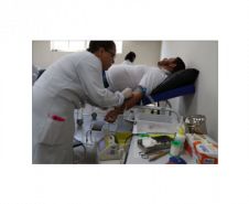 Momento da coleta de sangue realizada por tecnica do hemonúcleo.
