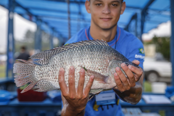 Feira do Peixe Vivo