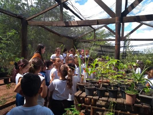 Crianças no horto de plantas medicinais