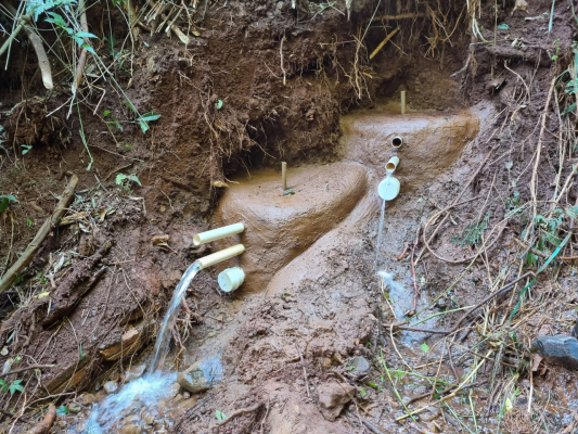 Nascente recuperada pelo programa Cultivando Água Limpa