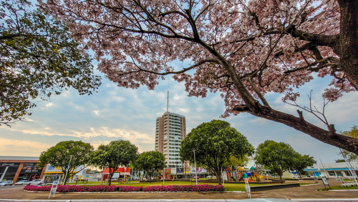 PRAÇA MIGUEL ROSSAFA